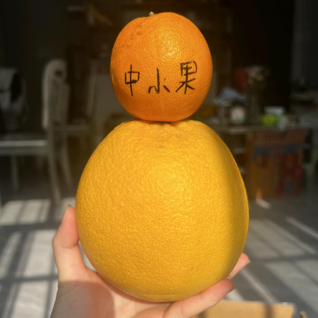 北辰家赣南脐橙