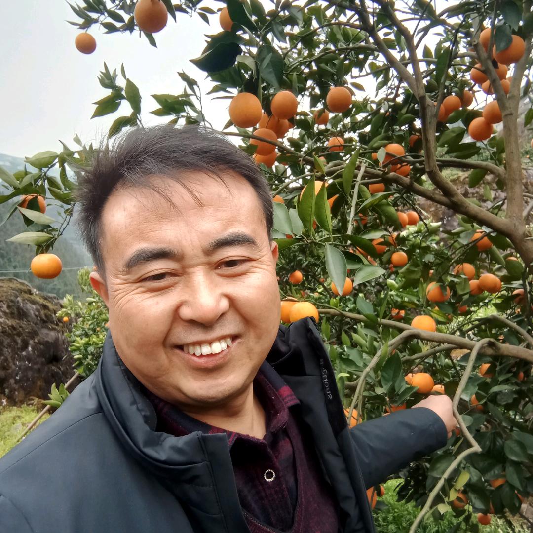 姊归果冻橙农家乐