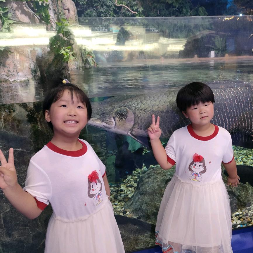 🍀💋王大侠生活日记