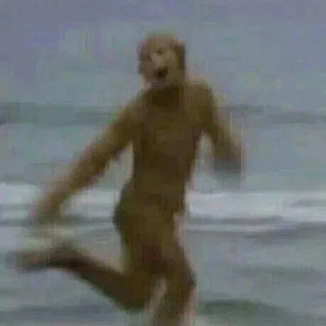 满山的野猴数我腚最红