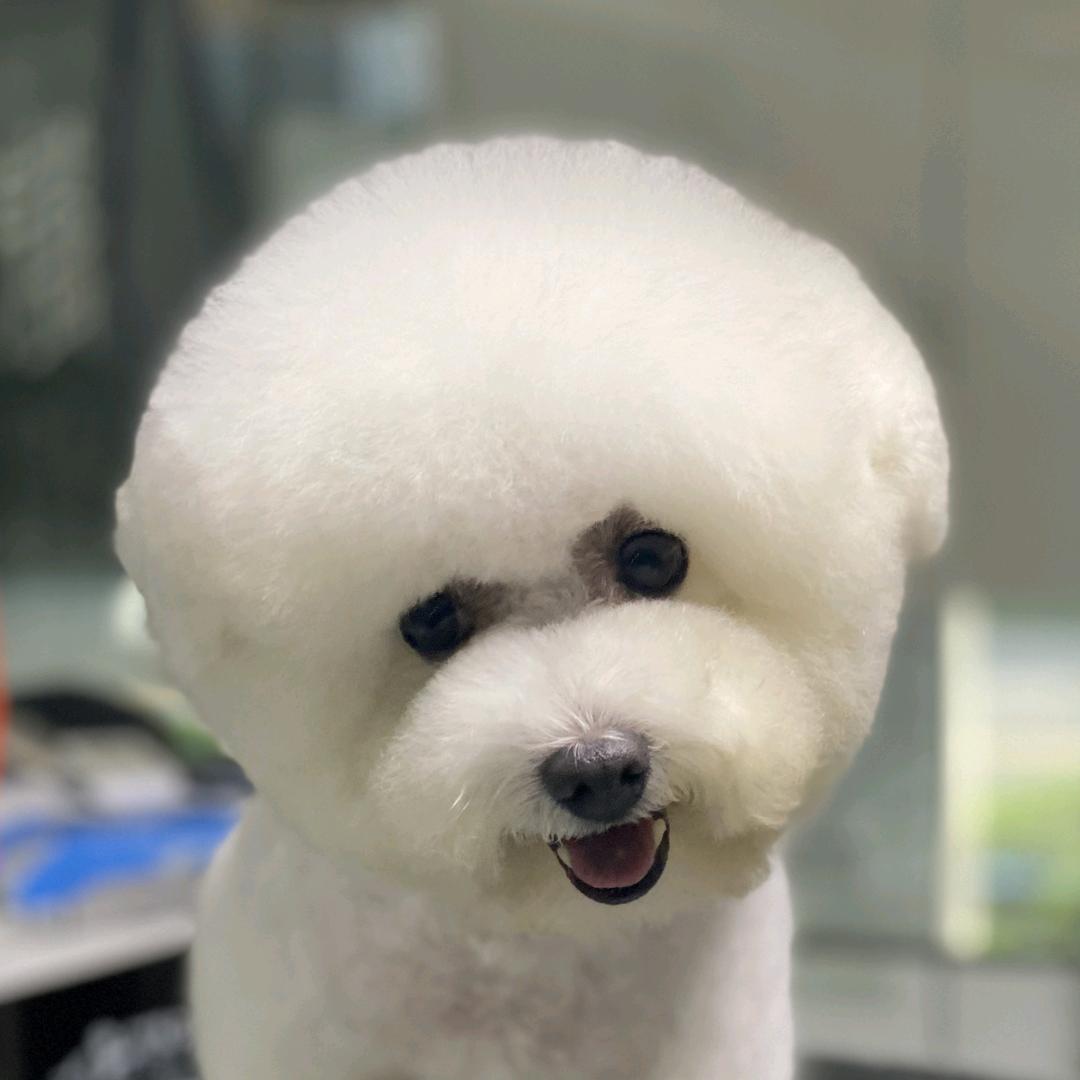 牵着蜗牛去跑步