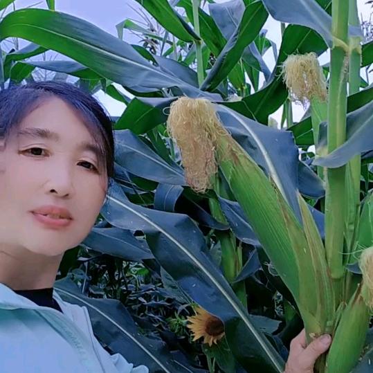 宋姐~1点10分开播