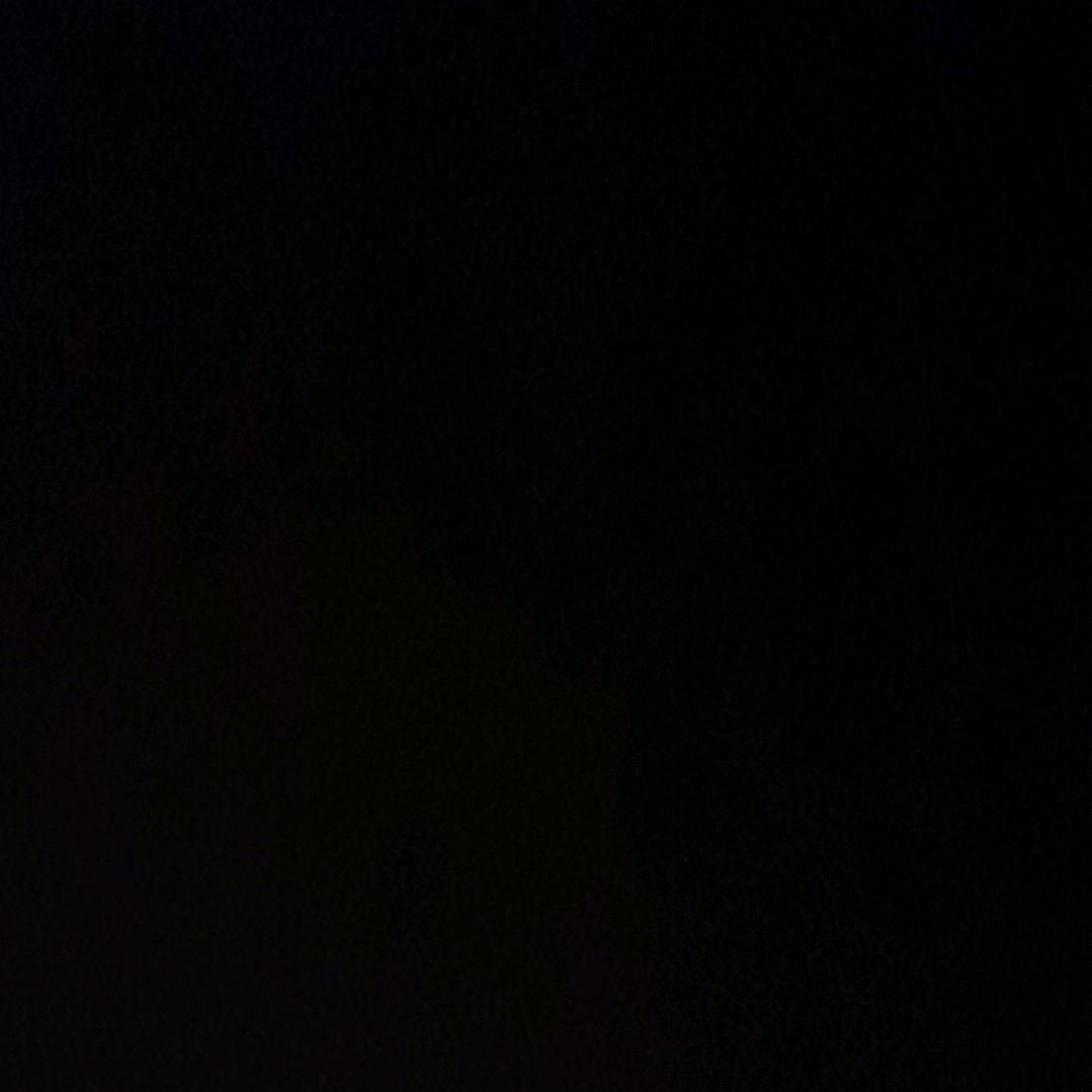 半点不由人。