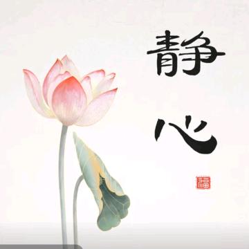 静心（仔选优品）