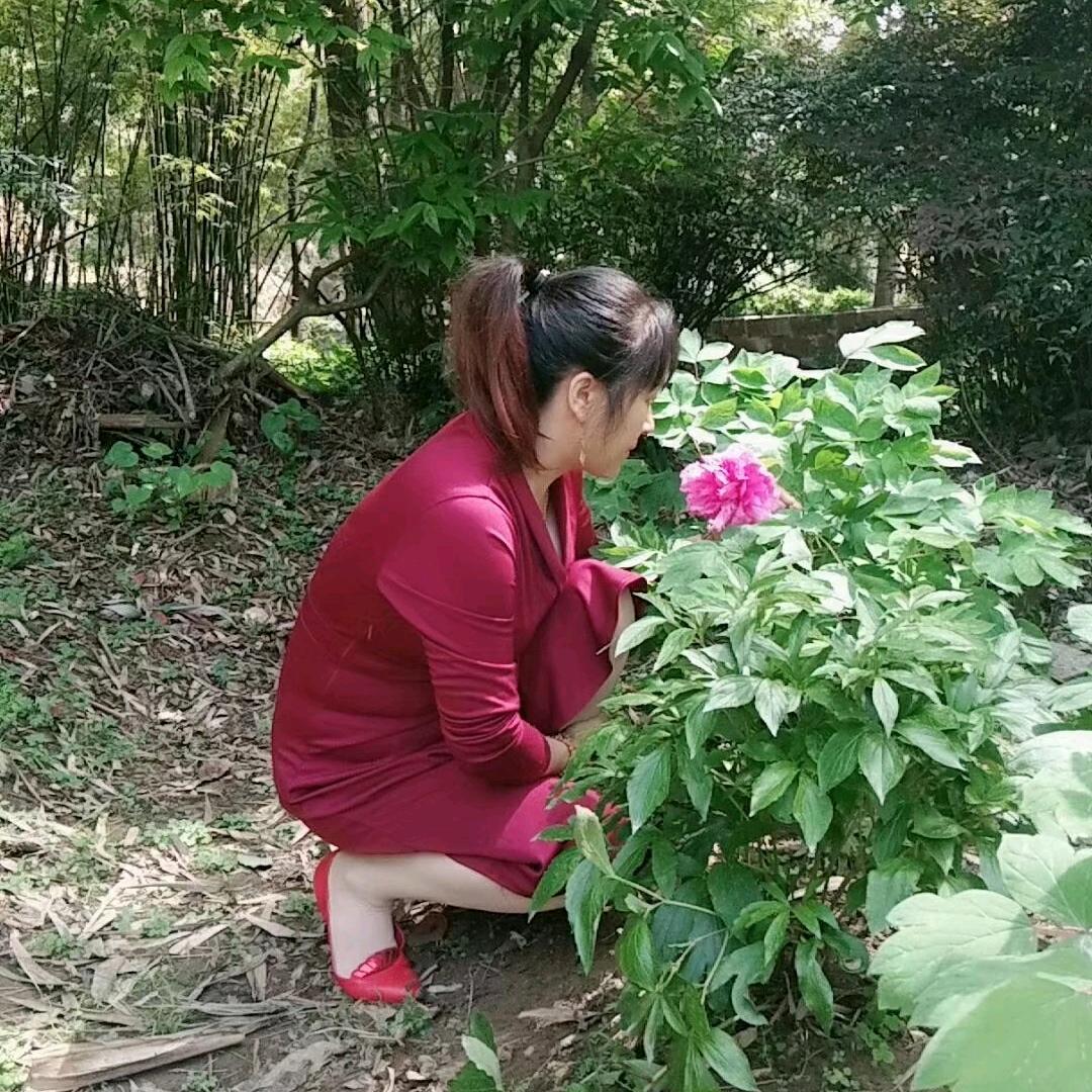 ♥🦋ꦿ໊余生᭄🕊随心᭄ꦿᩚ