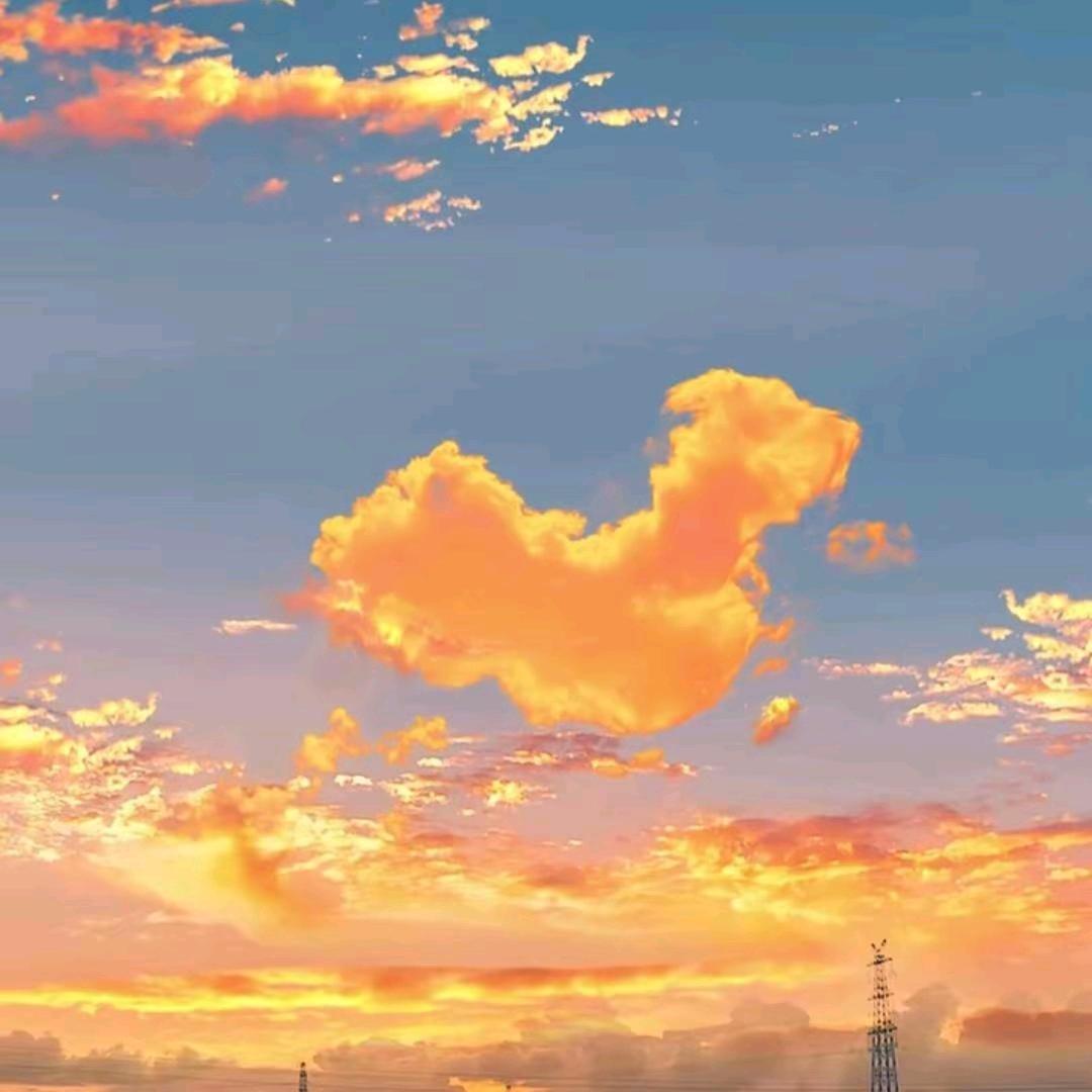 ♛晓鹏♛