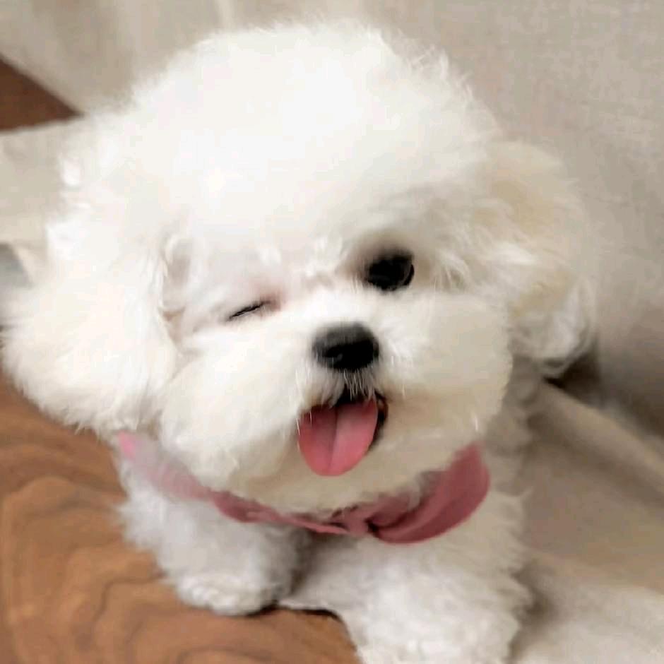 武汉市骄莘物业管理有限公司拾直播号