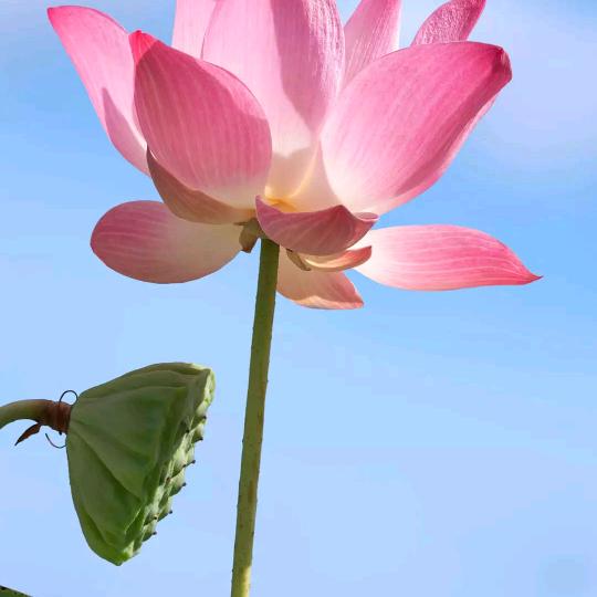 陪你💞牵手闯天涯