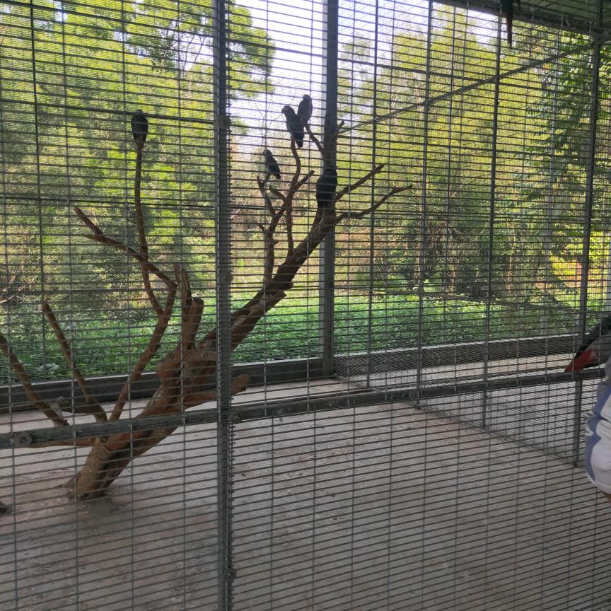 人生靠自己努力