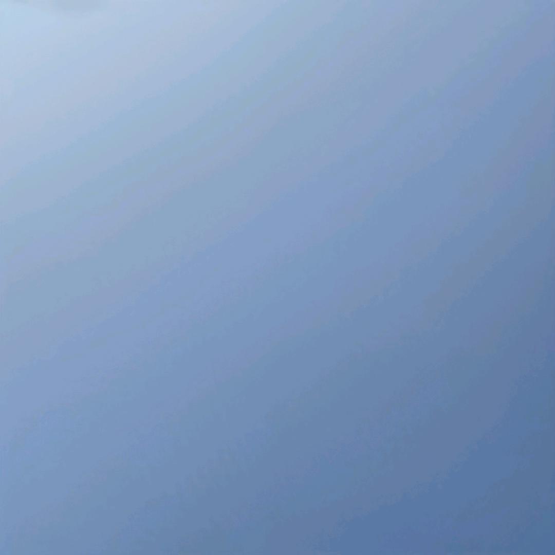 鱼儿