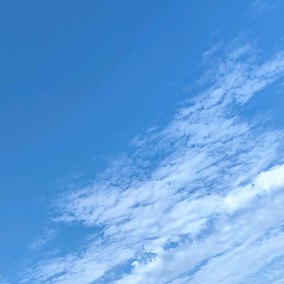 油漆工，林