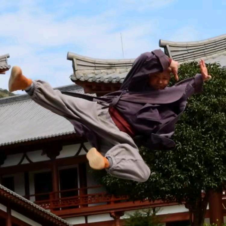 禅拳心意