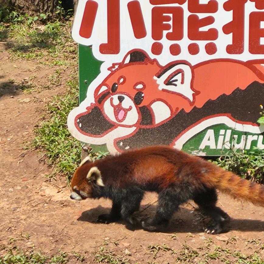 zxcc头像