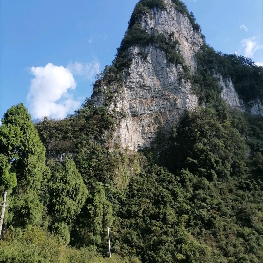 天天开心拍抖音