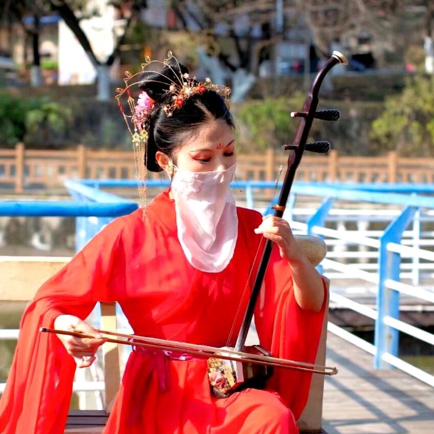 弦姐一菲