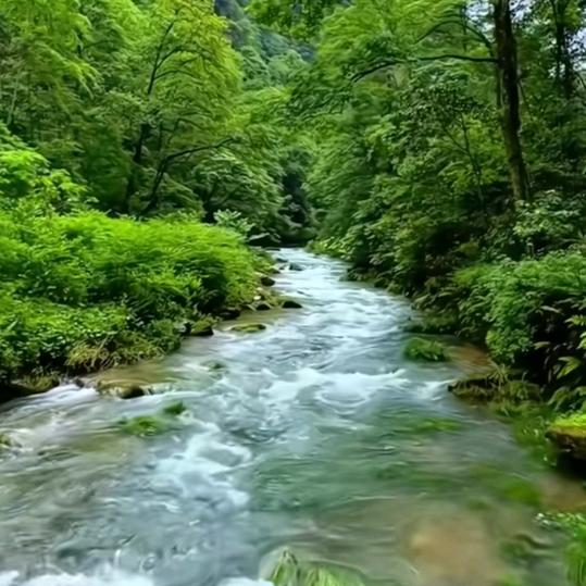 清晨的雨🍎🍎
