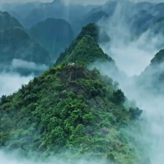 感悟