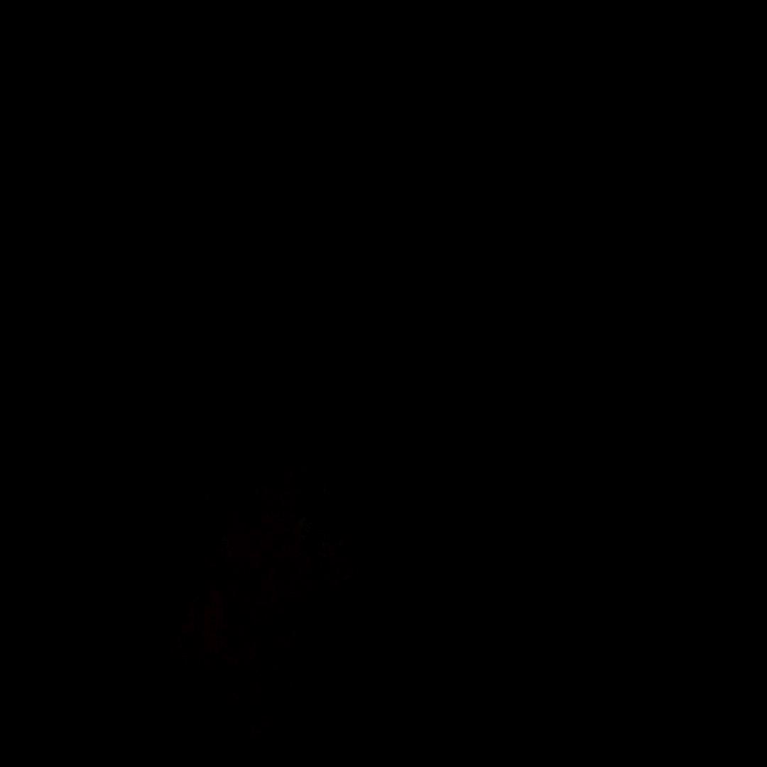 结果VV