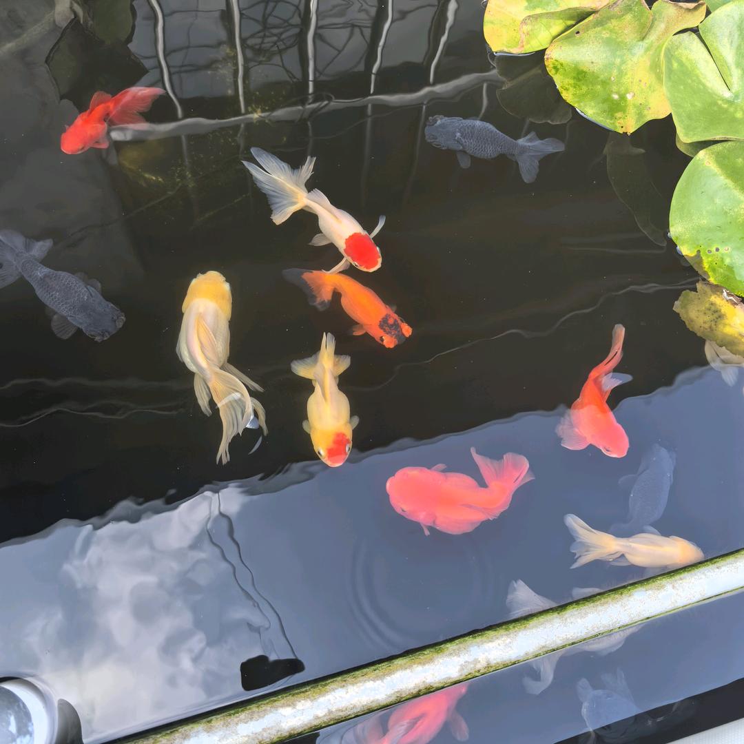 沈某仁