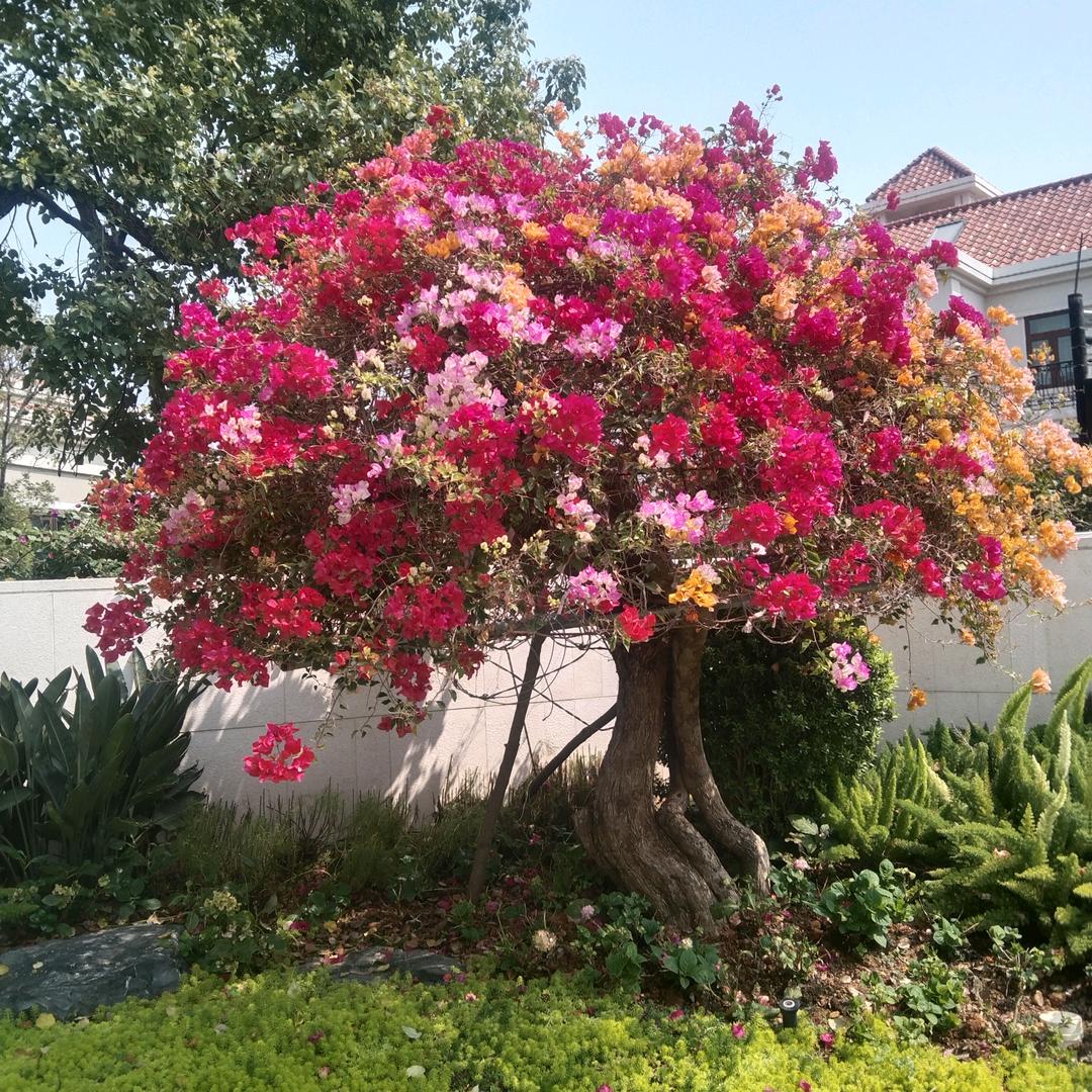 专业开荒保洁，拆除