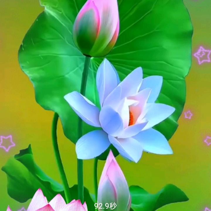褔杯满溢！喜乐满怀