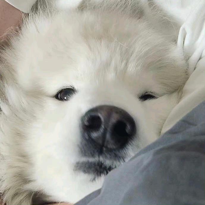 X的绝对值