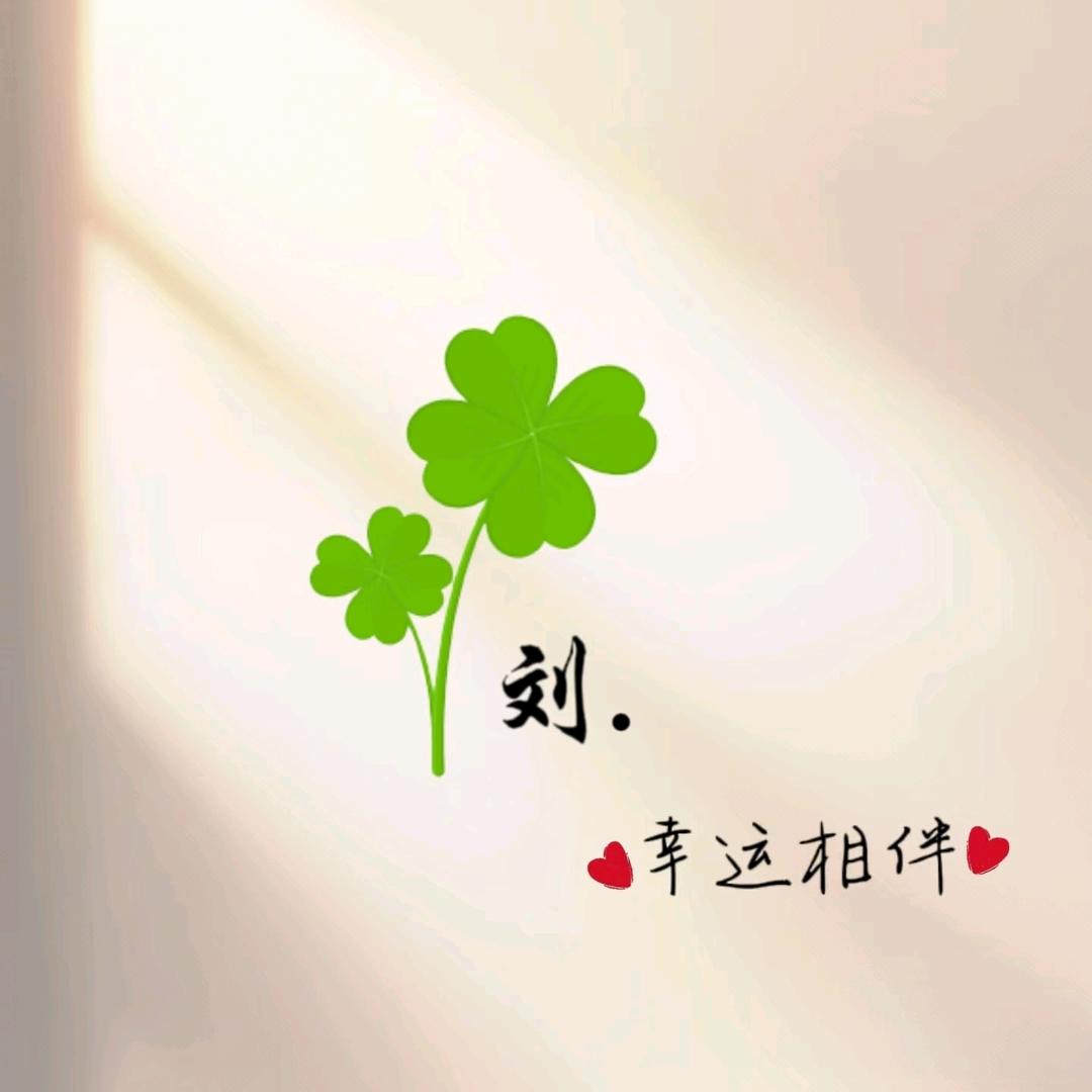 💫刘下星光🌟