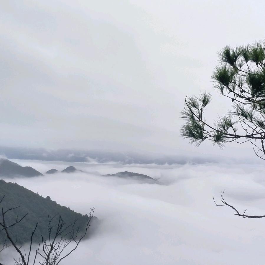 踏过万丛山