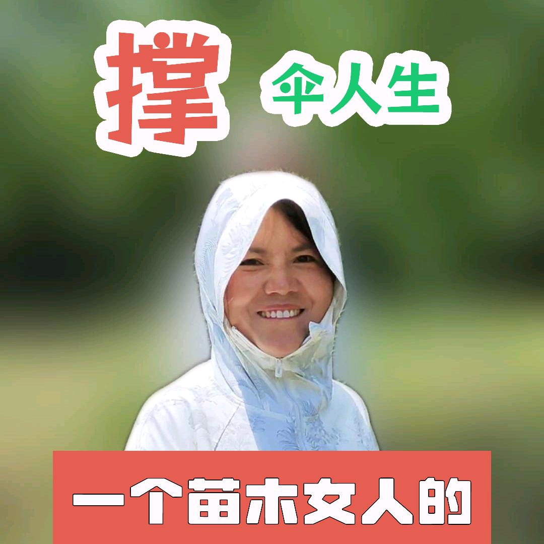 天王木栖姐的乌桕