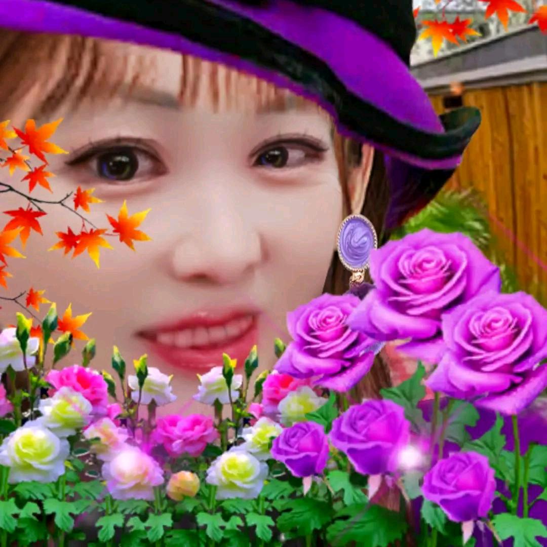 眉山市优惠团购达人