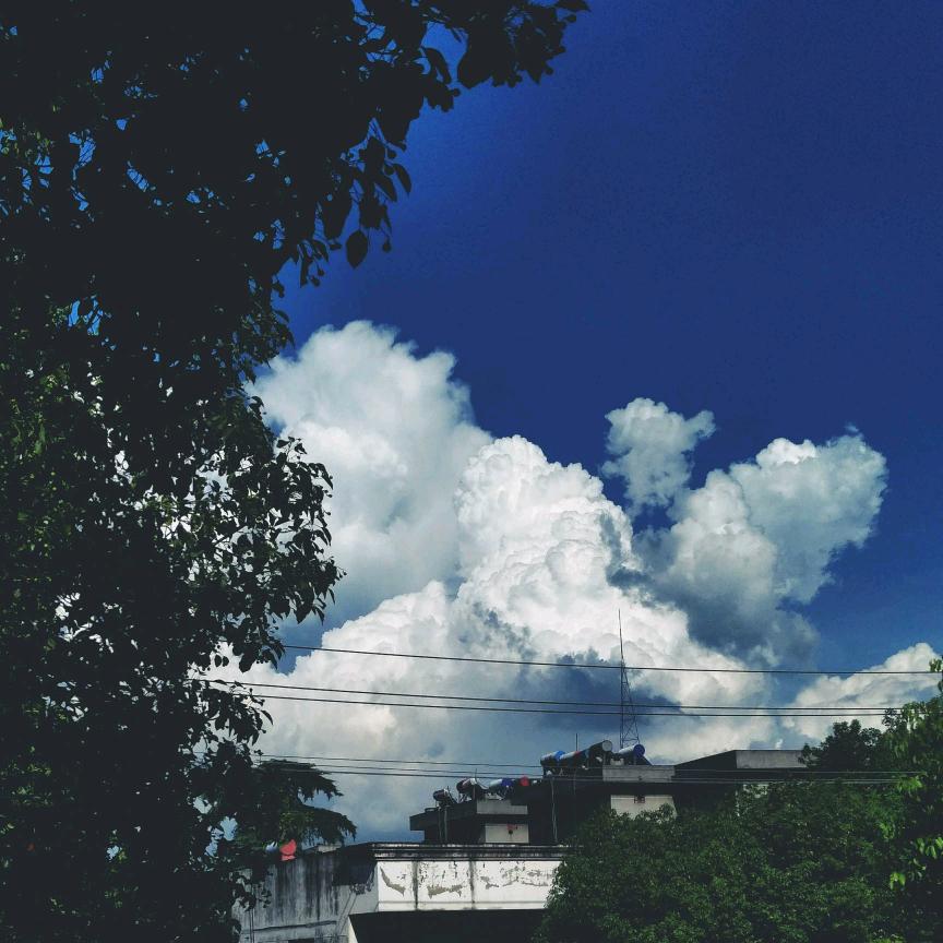 希园琴行小刘老师