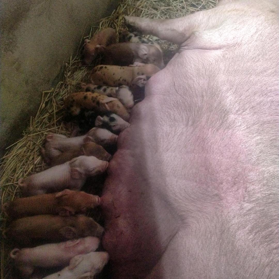 打工仔，人生不易