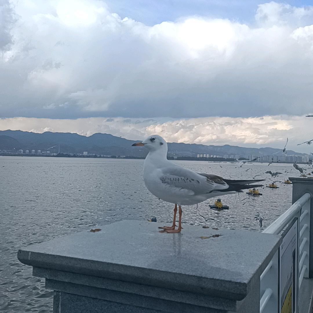 一杆清台