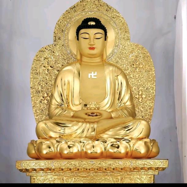 梦想的翅膀最美好