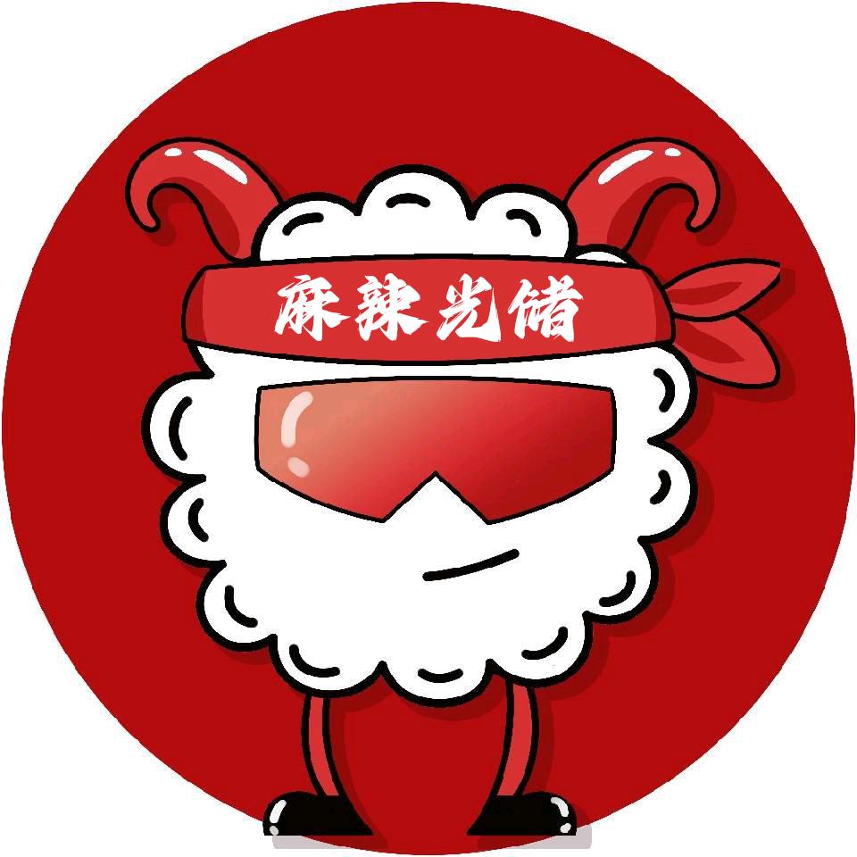 麻辣光储