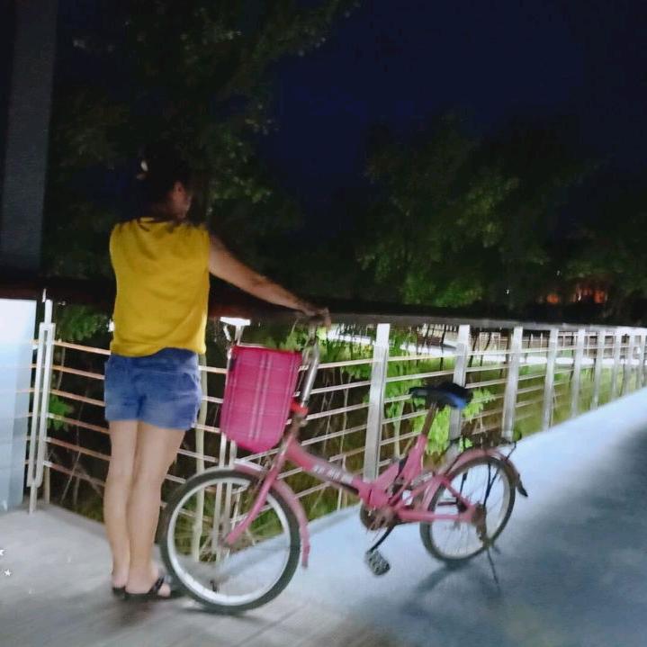傻在当初