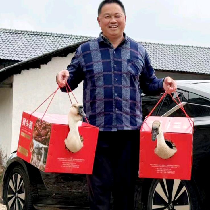 肖荣祯•三农实践与研究