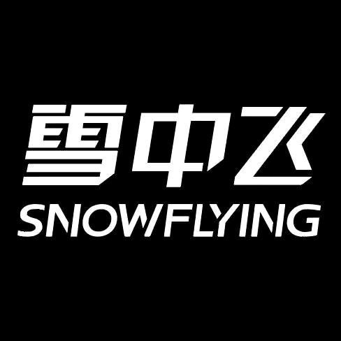 雪中飞有淳专卖店