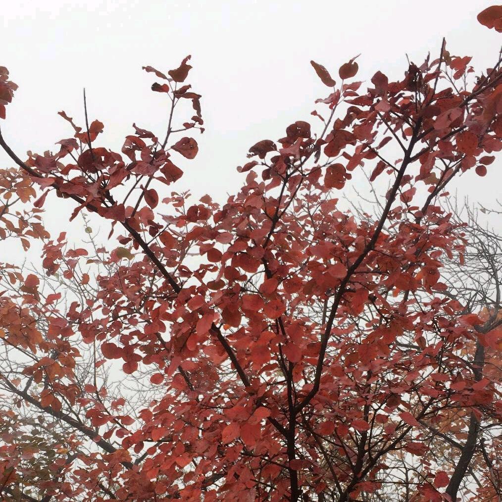 信守承诺会来财运