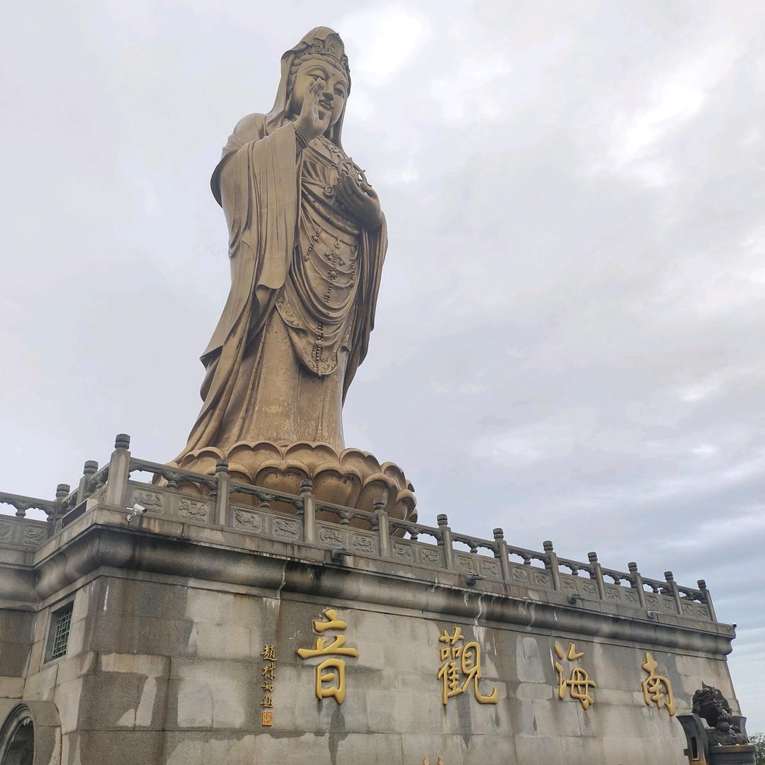 净土♥金金