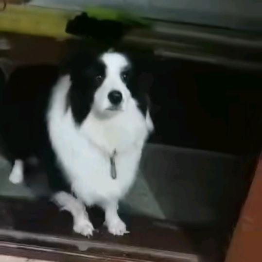 昂洋商贸中心