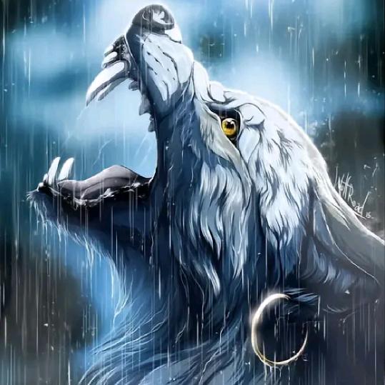 @💕ঞ᭄風雨赶路人᭄࿐：