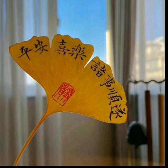 我的名字
