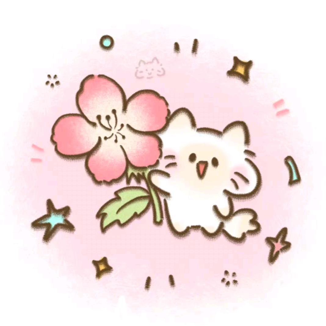 猫亦花