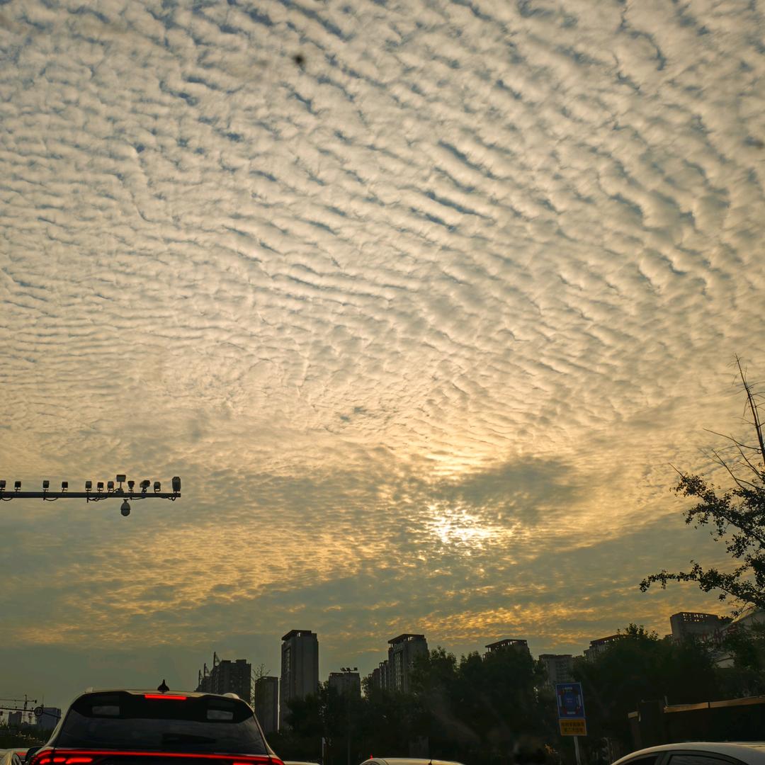 浅笑（拒私聊，拒连赞）