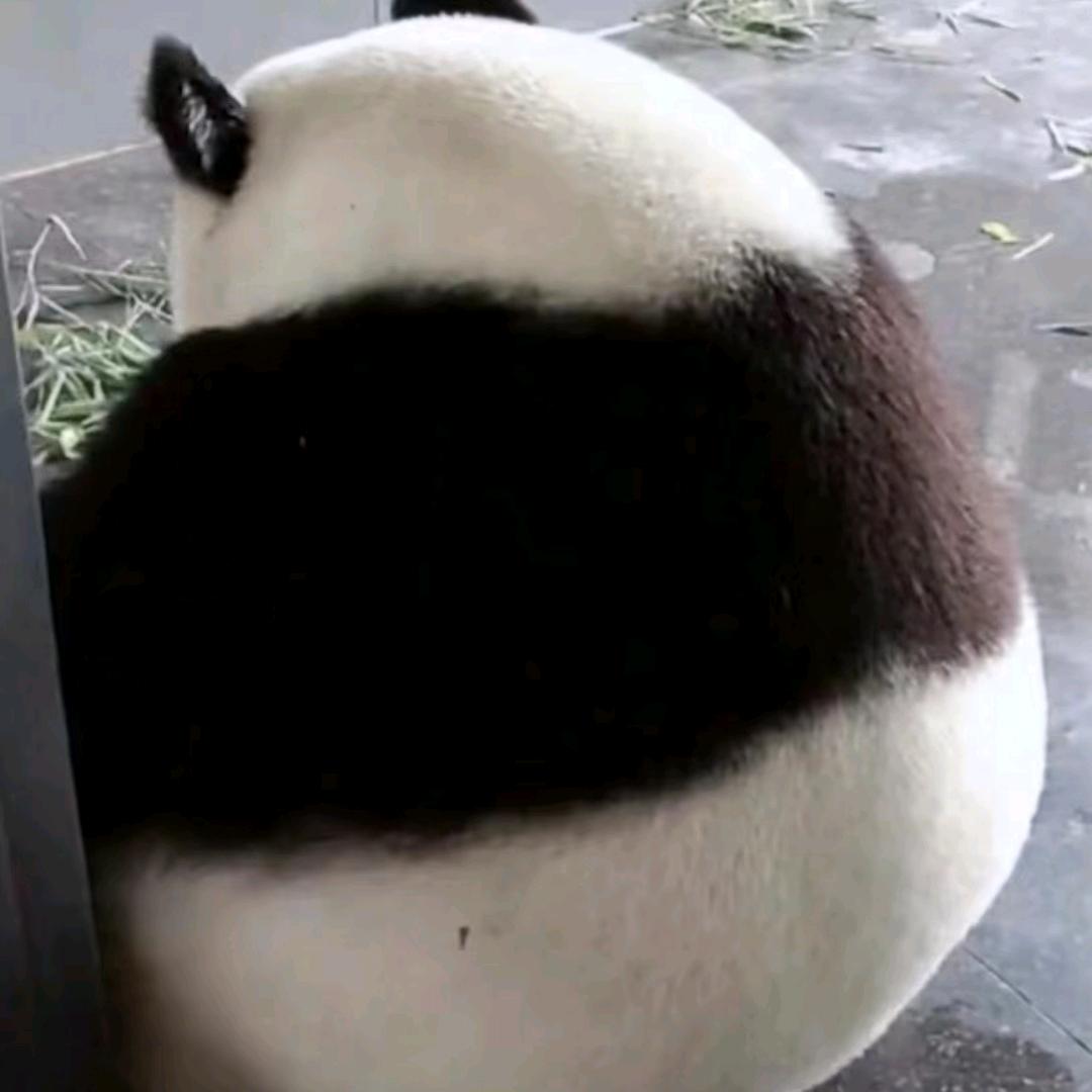 风雨无阻