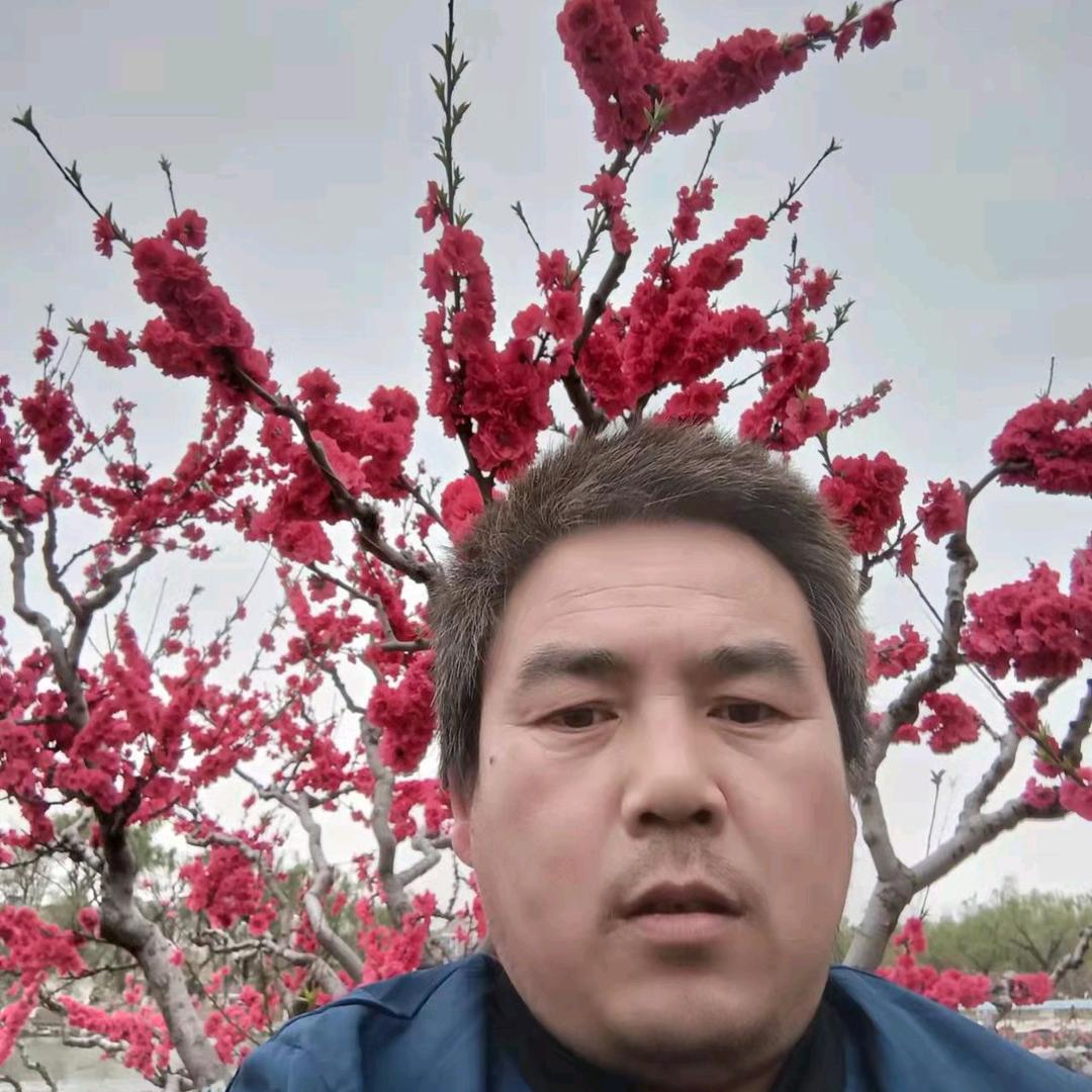 北漂小胖
