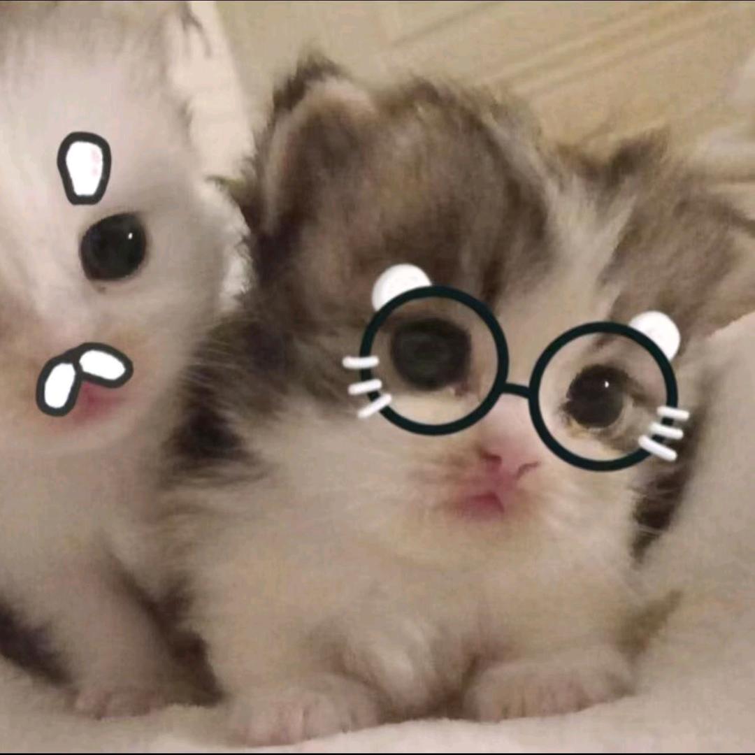 Lonely不孤单（Q宝的主人版）