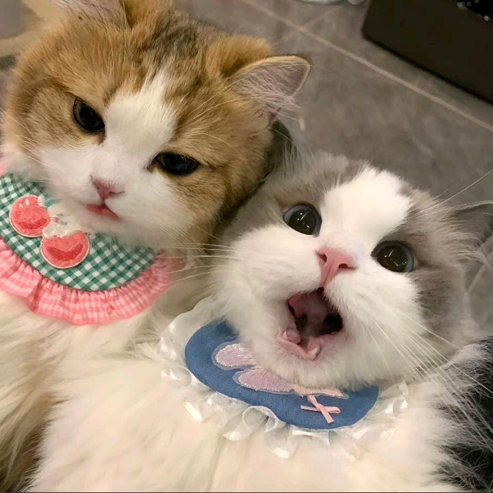 ～