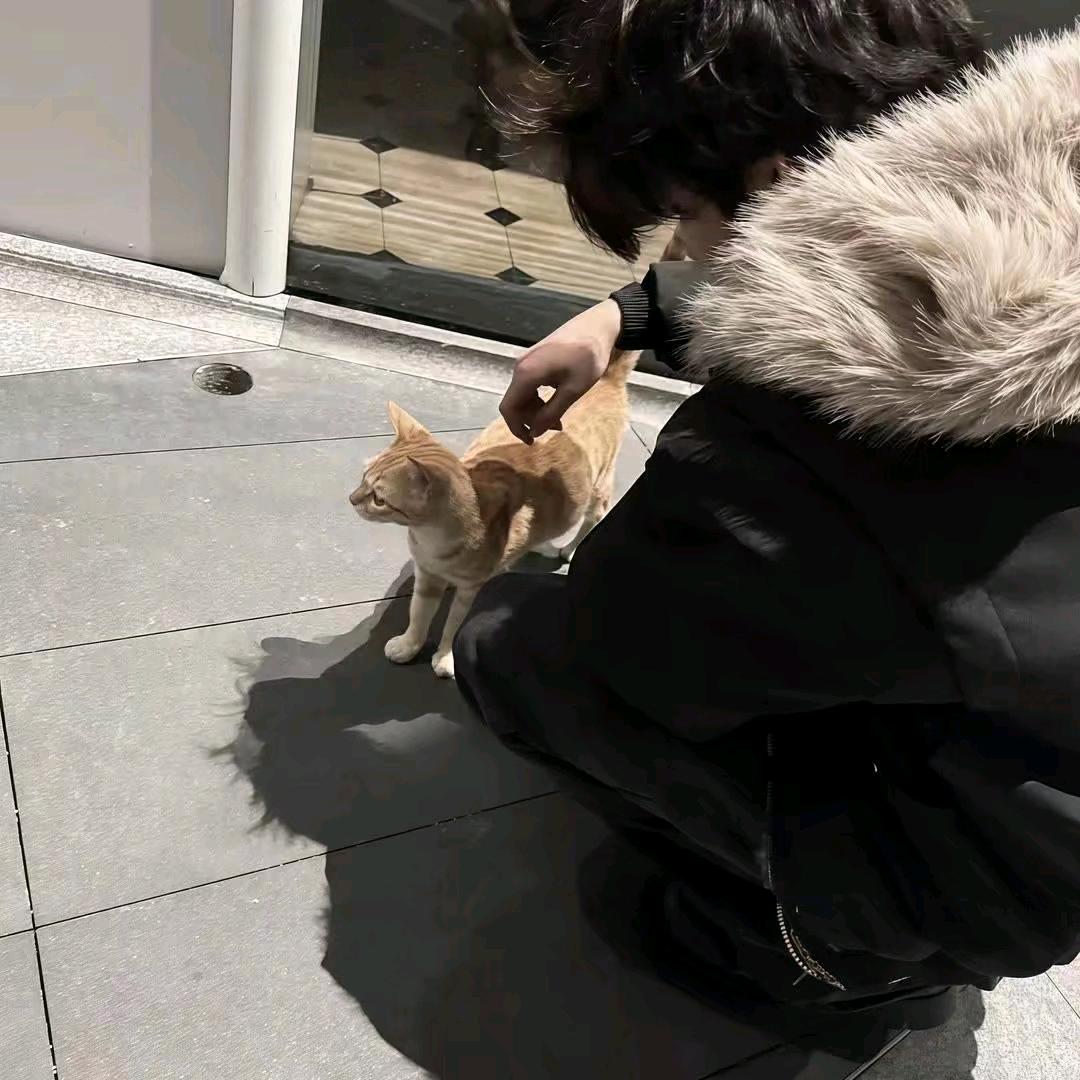 今晚也失眠